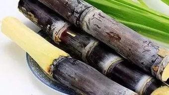 热点爆料甘蔗怎么做视频,视频教程带你轻松学会  第1张