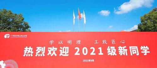 南阳理工爆料事件视频最新,真相与争议交织的校园风云  第1张